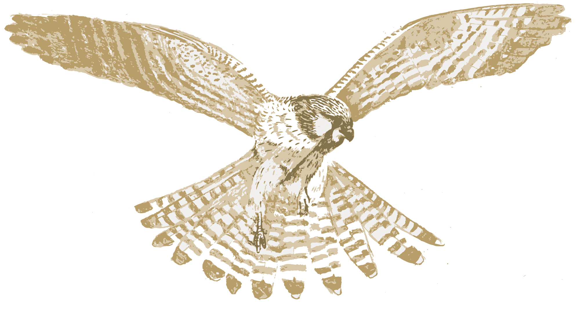 Bilder-Domi-Webseite_faelkli2